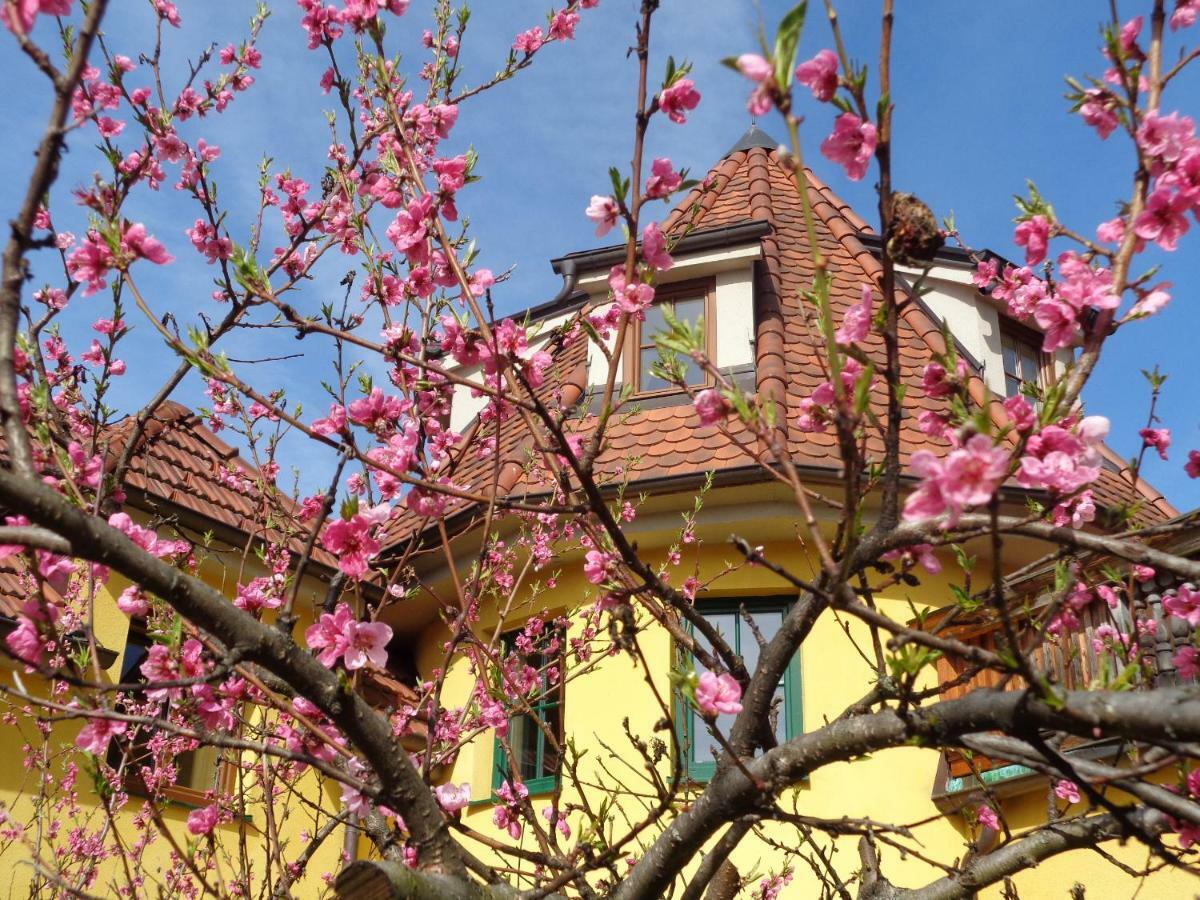 Pension Himmelreich Ternitz Buitenkant foto