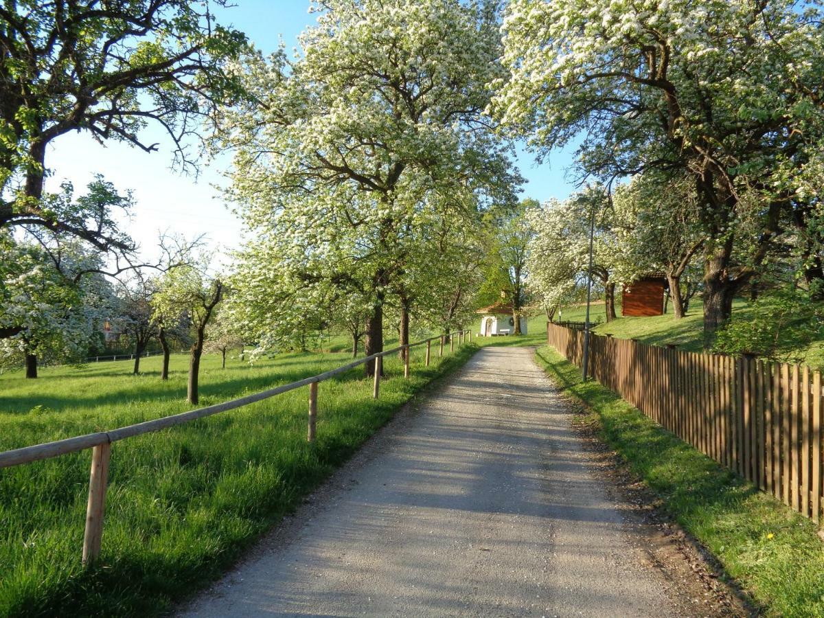Pension Himmelreich Ternitz Buitenkant foto