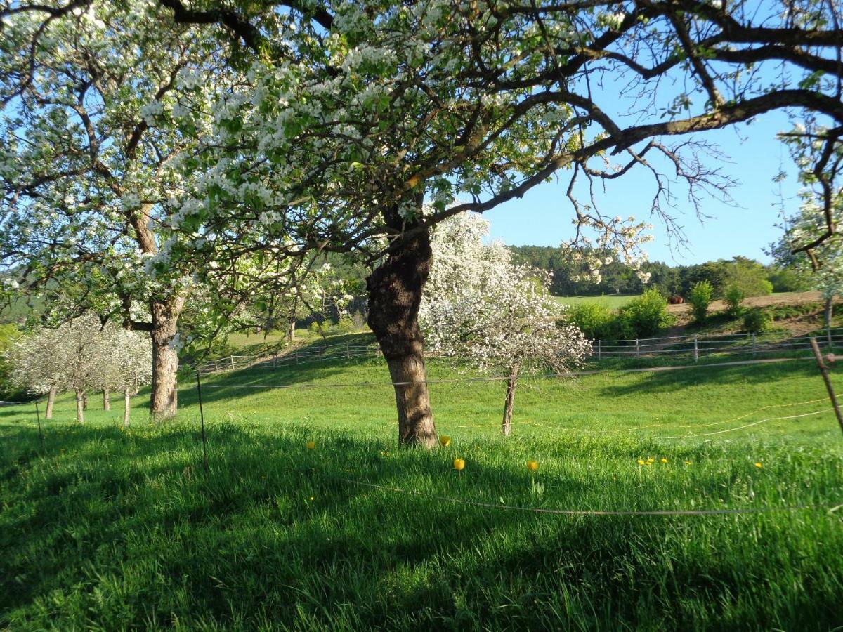 Pension Himmelreich Ternitz Buitenkant foto